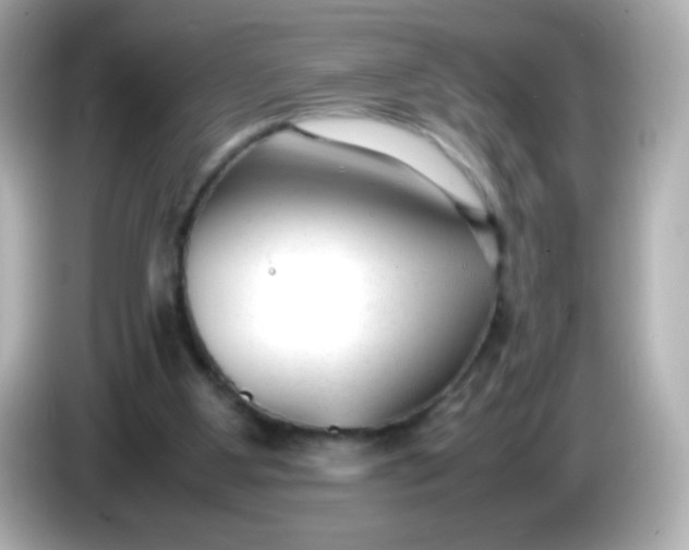 X0000086040107200704091158