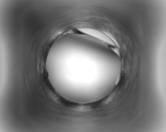 X0000086040109200704091158