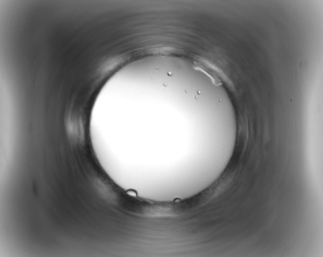 X0000086040110200704091158