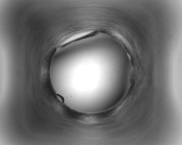 X0000086040113200704091158