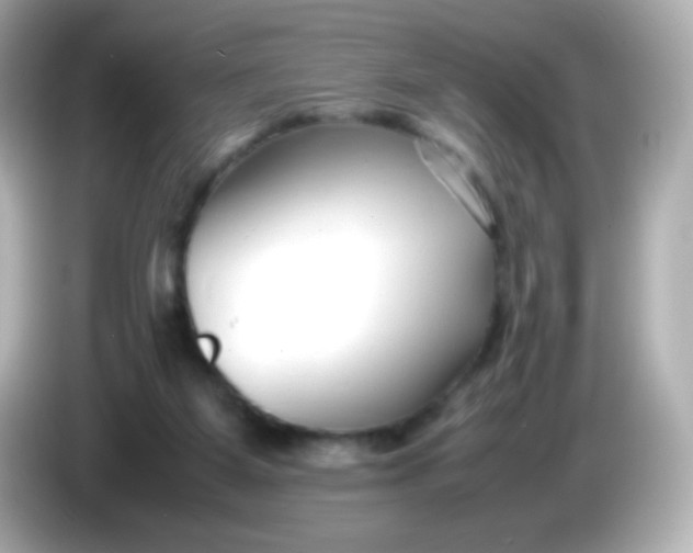 X0000086040115200704091158