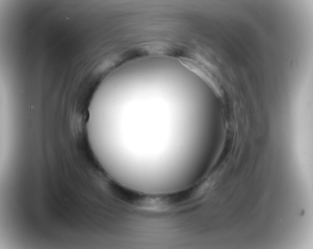 X0000086040117200704091158