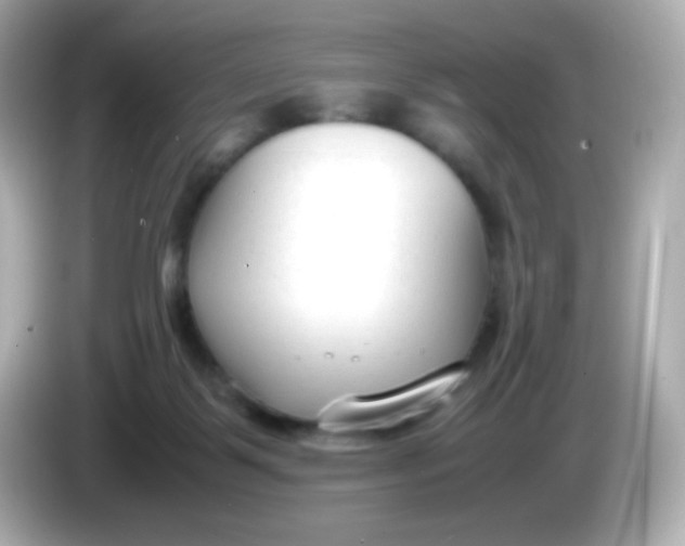 X0000086040123200704091157
