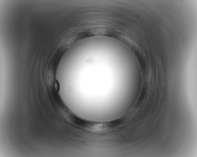 X0000086040130200704091157