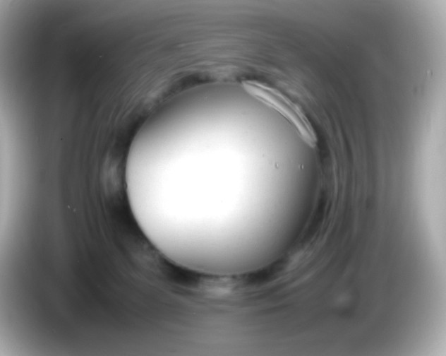X0000086040131200704091157
