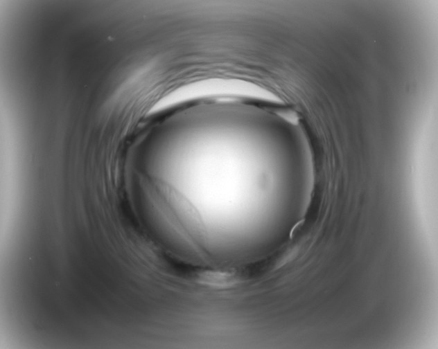 X0000086040139200704091157