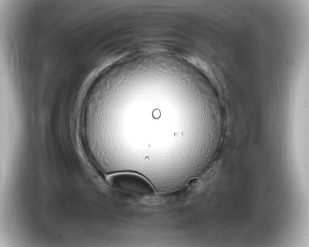 X0000086040145200704091157
