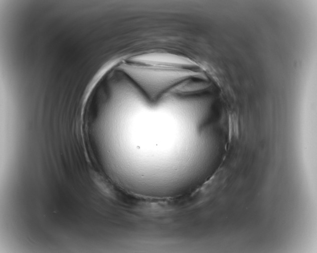 X0000086040147200704091157