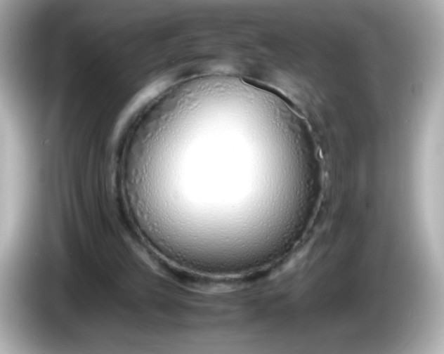 X0000086040149200704091157