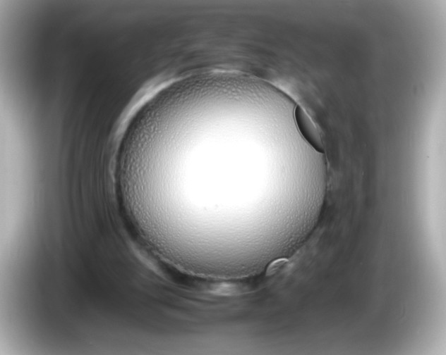X0000086040151200704091157