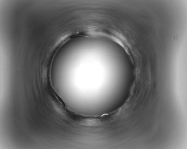 X0000086040154200704091157