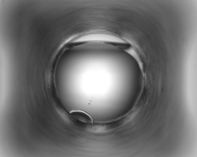 X0000086040156200704091157