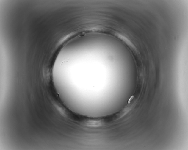 X0000086040160200704091157