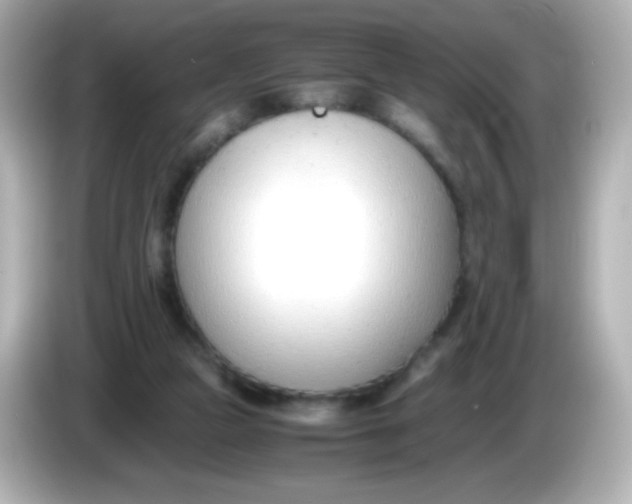 X0000086040161200704091157
