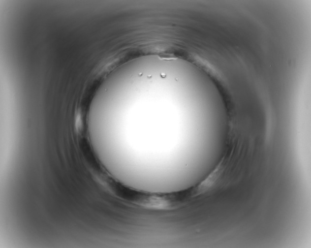 X0000086040166200704091157