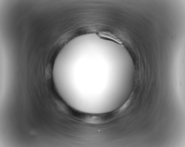X0000086040174200704091157