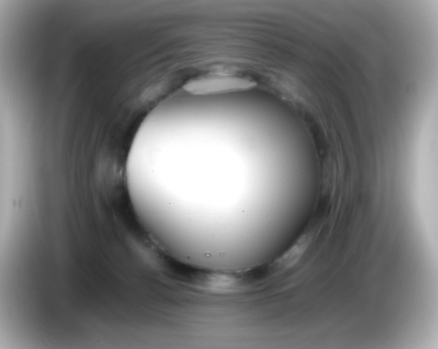 X0000086040176200704091157