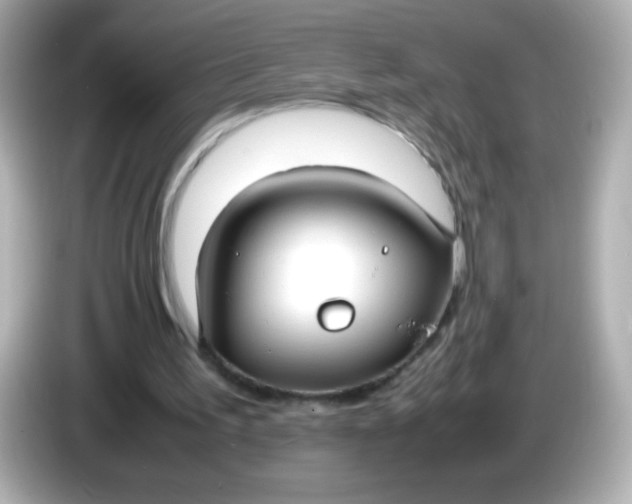 X0000086040195200704091157
