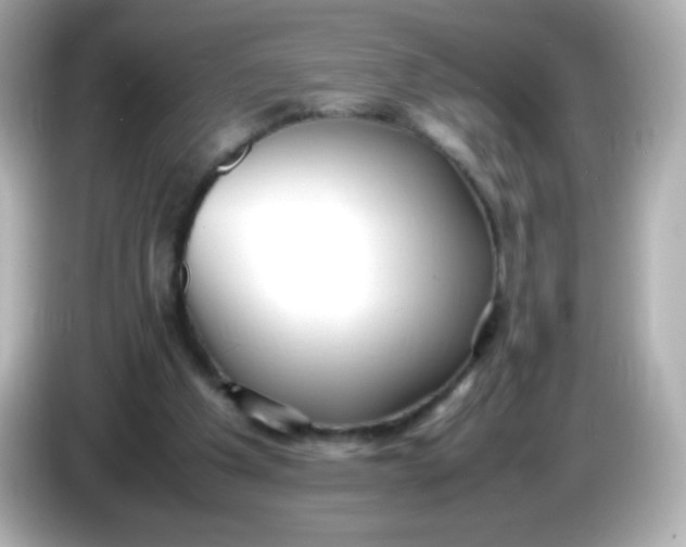 X0000086040201200704091157