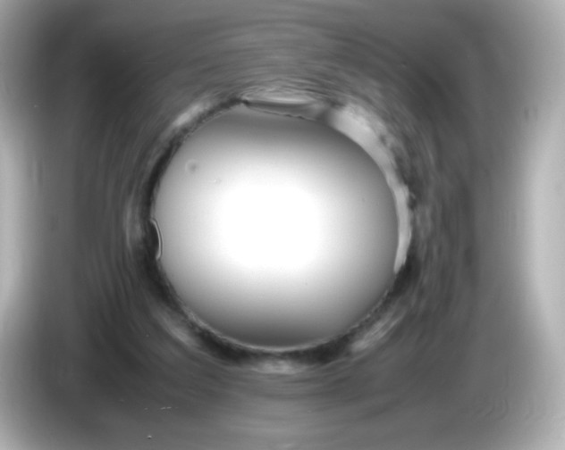X0000086040203200704091157