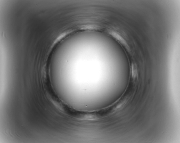 X0000086040204200704091156