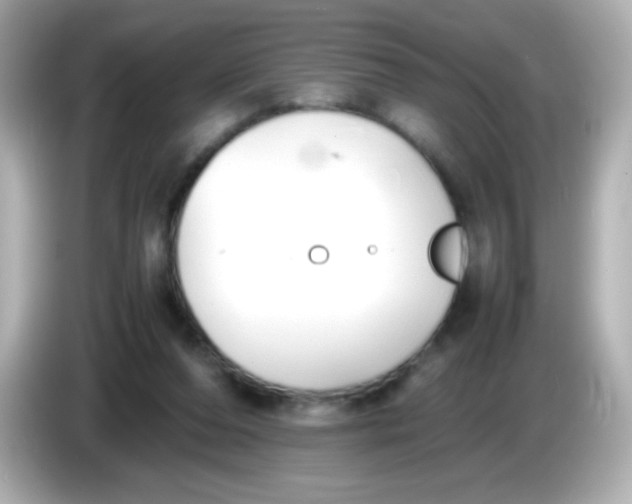 X0000086040208200704091156