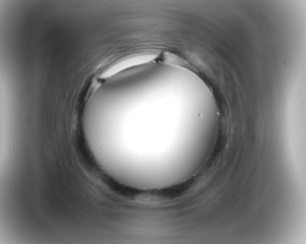 X0000086040211200704091156