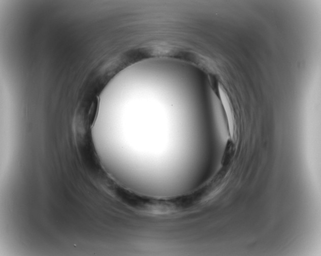 X0000086040215200704091156
