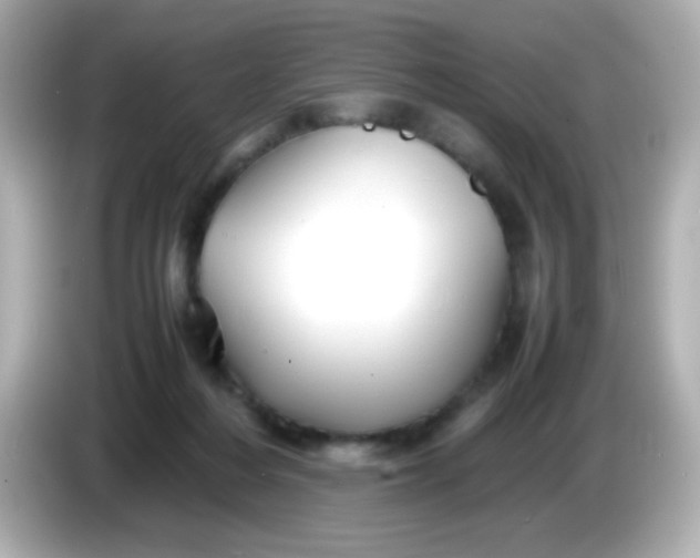 X0000086040216200704091156