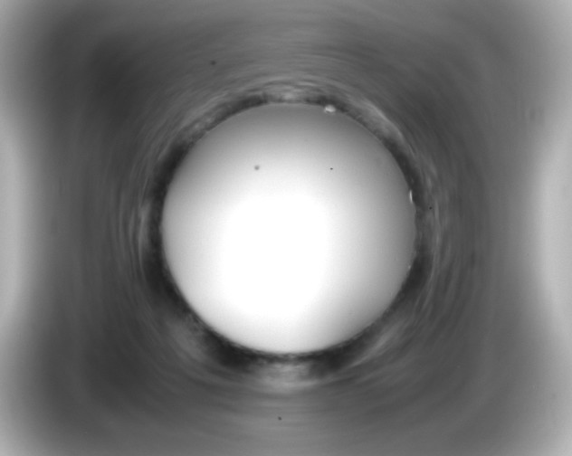 X0000086040217200704091156