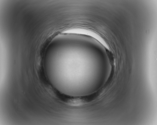 X0000086040219200704091156