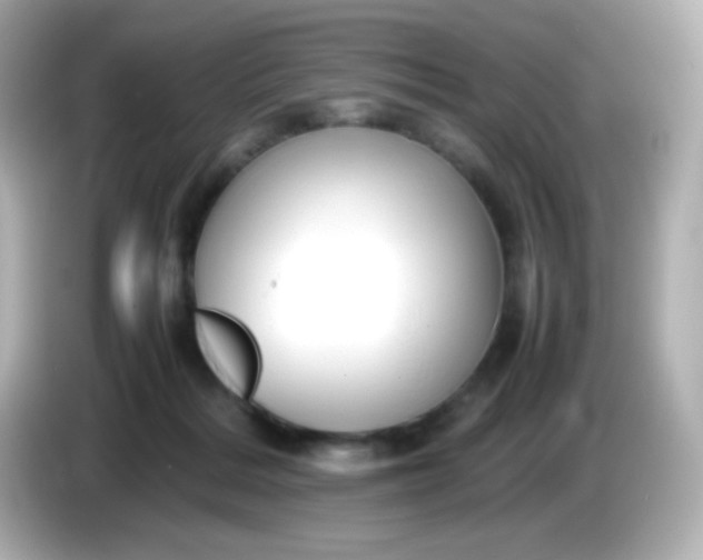 X0000086040220200704091156