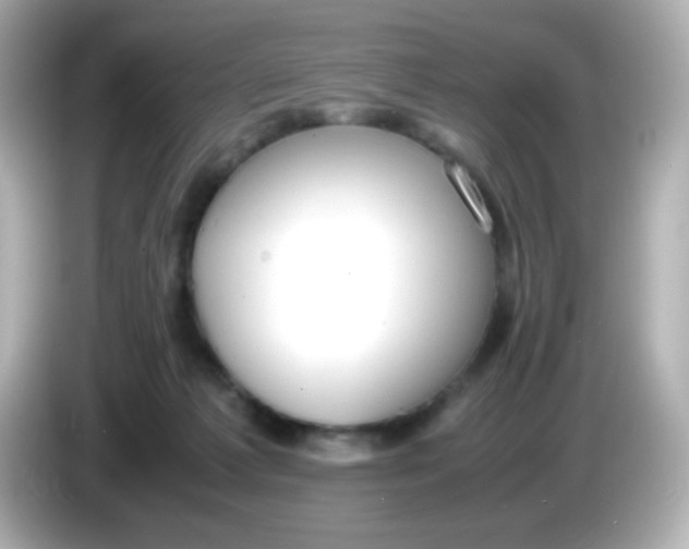 X0000086040221200704091156