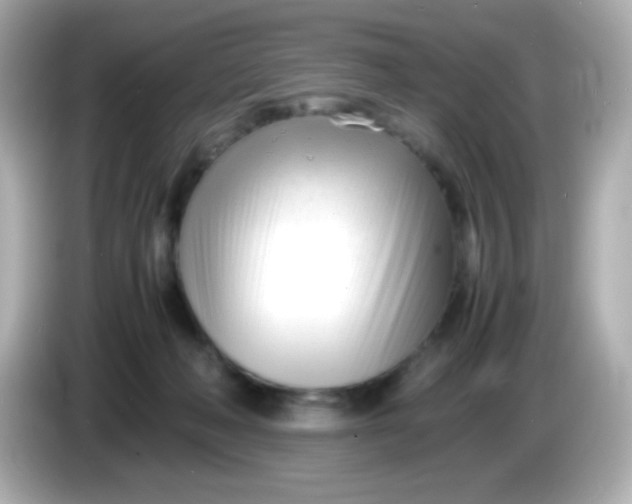 X0000086040222200704091156