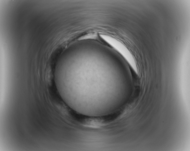 X0000086040223200704091156