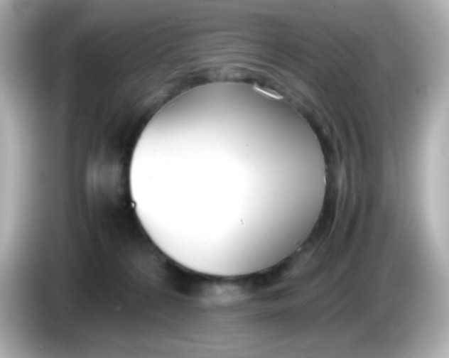 X0000086040224200704091156