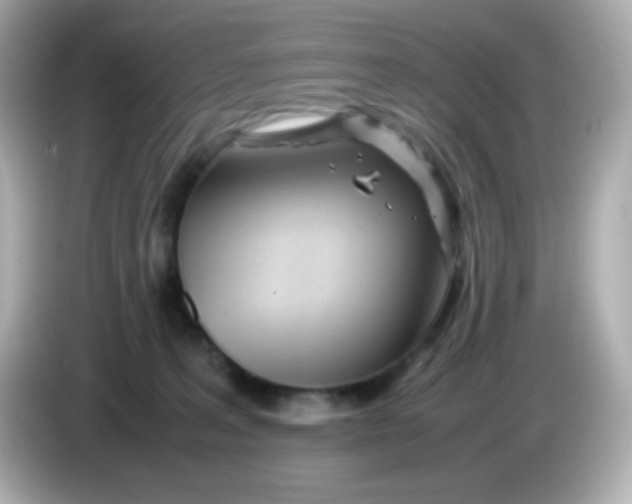 X0000086040227200704091156