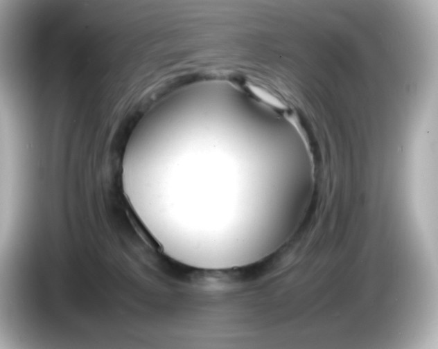 X0000086040229200704091156