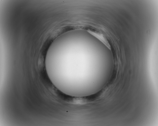 X0000086040231200704091156