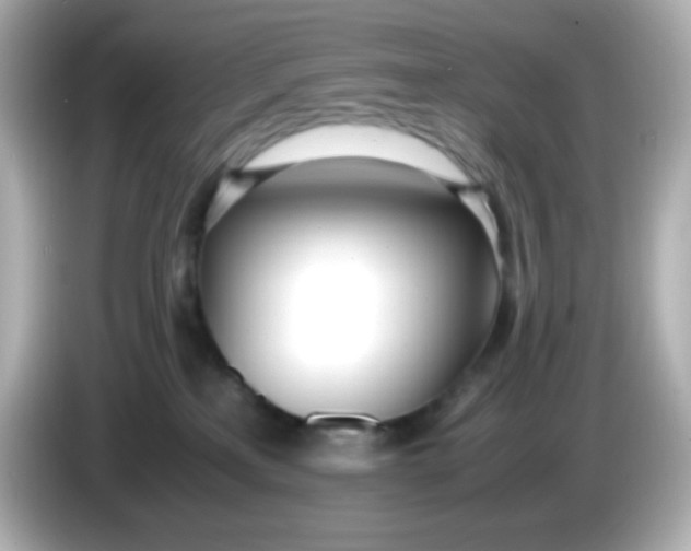 X0000086040233200704091156