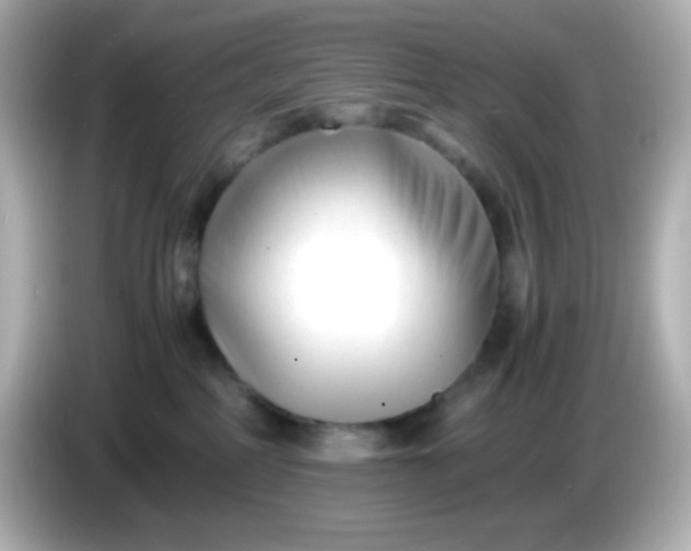 X0000086040234200704091156