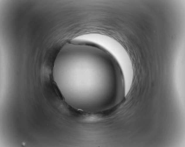X0000086040235200704091156