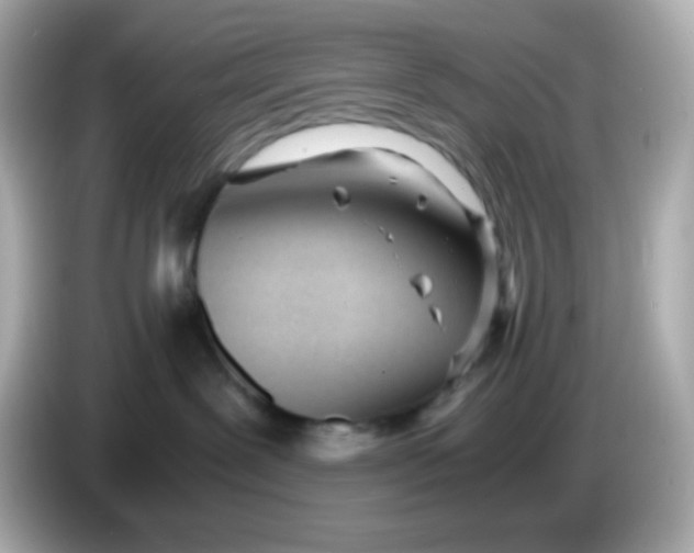 X0000086040239200704091156