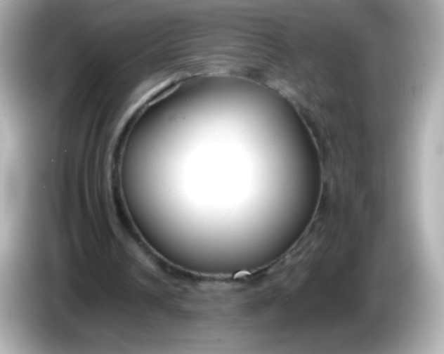 X0000086040242200704091156