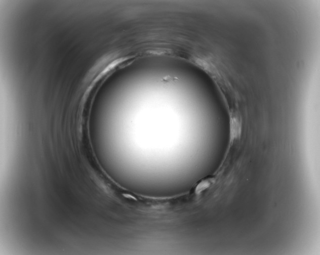 X0000086040243200704091156