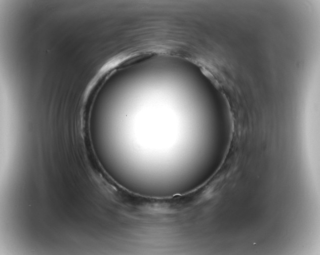 X0000086040244200704091156