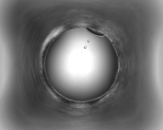 X0000086040245200704091156