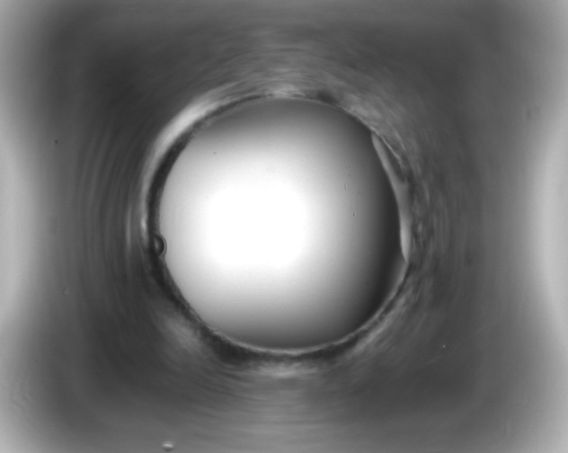 X0000086040246200704091156