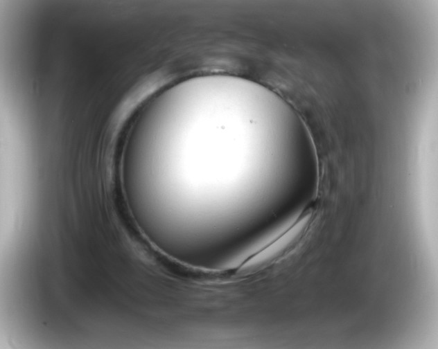 X0000086040247200704091156