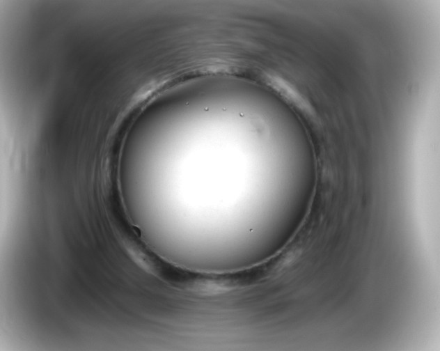 X0000086040250200704091156